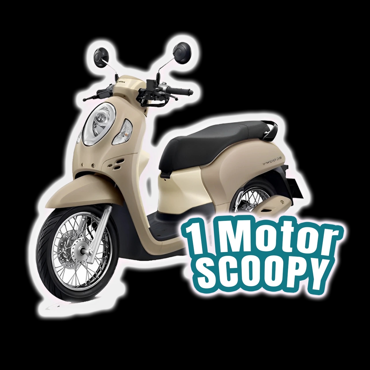 1 Motor Scoopy